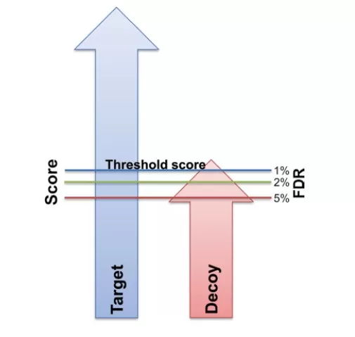 Fig. 2: Illustration of the Target-Decoy false positive rate evaluation strategy